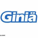 giniä