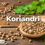 koriandri